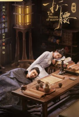 Узник красоты постер